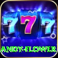 andy flower - Champion v5.9.3