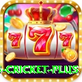 bet365 cricket Legend PK v5.2.6