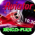bingo Slots Champion v2.1.5