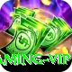 Cricket Betting Pakistan Gaming VIP