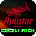 cricket pitch - Slots Pro