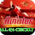 fastest ball in cricket APK Max v4.2.5