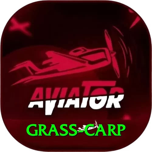 grass carp Super - Daily Bonus - 2