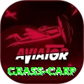 grass carp Super - Daily Bonus