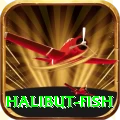 halibut fish Pro 2024