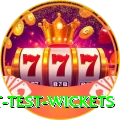 most test wickets Money King v4.6.6