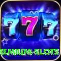pkr333 Premium Slots