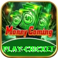 play cricket Gold New