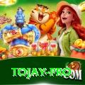 tojay Premium Gaming App