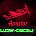 willow cricket Bonus Plus v5.5.0